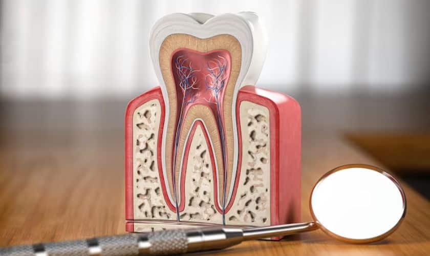 Root Canal Therapy Las Vegas
